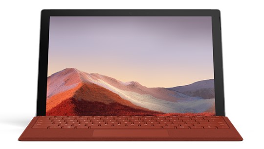 松柏镇清洁和维护 Surface